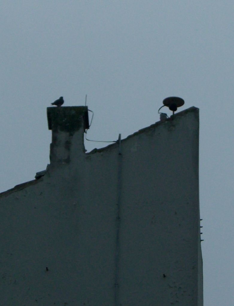 GNSS antenna on the roof of the building of Geodetski zavod d.d. Osijek, Osijek.